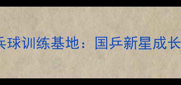 图片 淄博张海涛乒乓球训练基地：国乒新星成长之路（专访）1