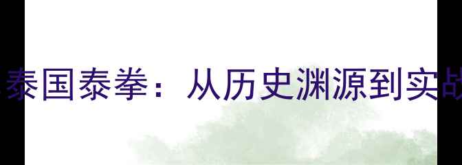 图片 深度中国大成拳vs泰国泰拳：从历史渊源到实战技法的全面对比1
