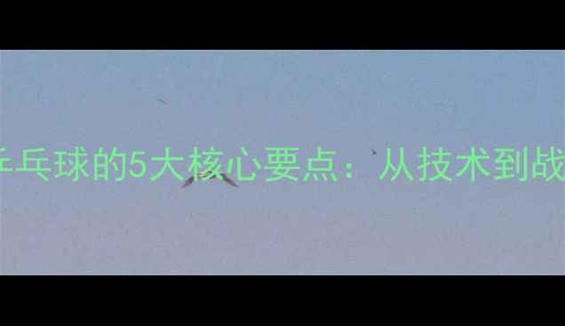 图片 深度刘威解说乒乓球的5大核心要点：从技术到战术的全面剖析2