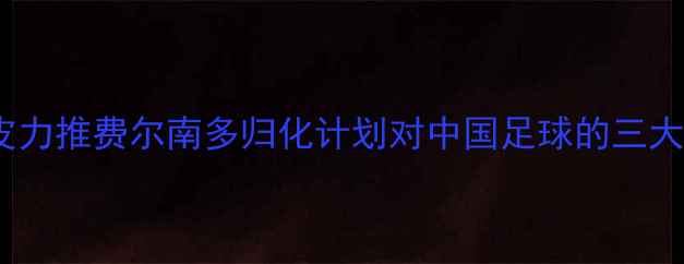 图片 深度：里皮力推费尔南多归化计划对中国足球的三大战略意义2