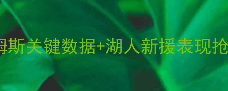 图片 湖人vs快船季前赛结果深度：詹姆斯关键数据+湖人新援表现抢眼！湖人快船赛后官方声明解读2