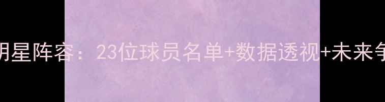 图片 湖人队全明星阵容：23位球员名单+数据透视+未来争冠关键点