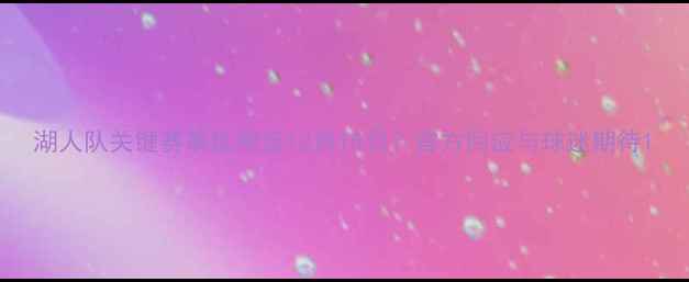 图片 湖人队关键赛事延期至12月15日？官方回应与球迷期待1