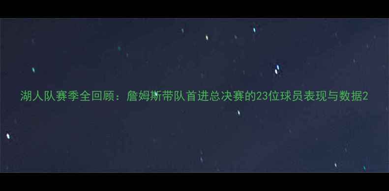 图片 湖人队赛季全回顾：詹姆斯带队首进总决赛的23位球员表现与数据2