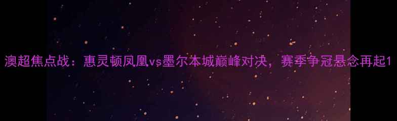 图片 澳超焦点战：惠灵顿凤凰vs墨尔本城巅峰对决，赛季争冠悬念再起1