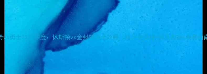 图片 火箭vs勇士0221深度：休斯顿vs金州对决全攻略（附历史交锋+球员数据+观赛指南）