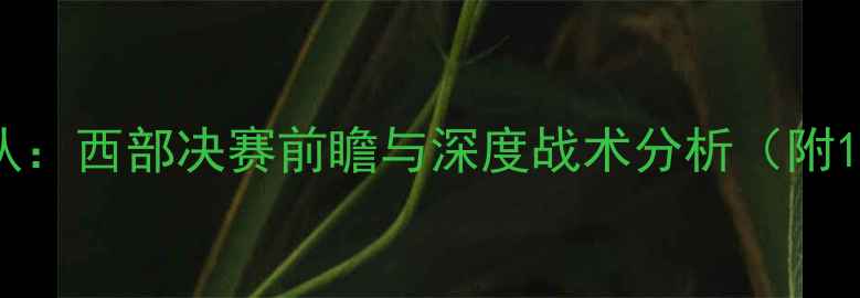 图片 火箭队vs马刺队：西部决赛前瞻与深度战术分析（附11月10日赛程）