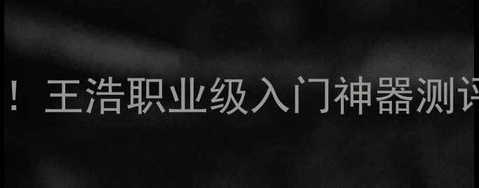 图片 爆款乒乓球底板推荐！王浩职业级入门神器测评：新手进阶必看！2