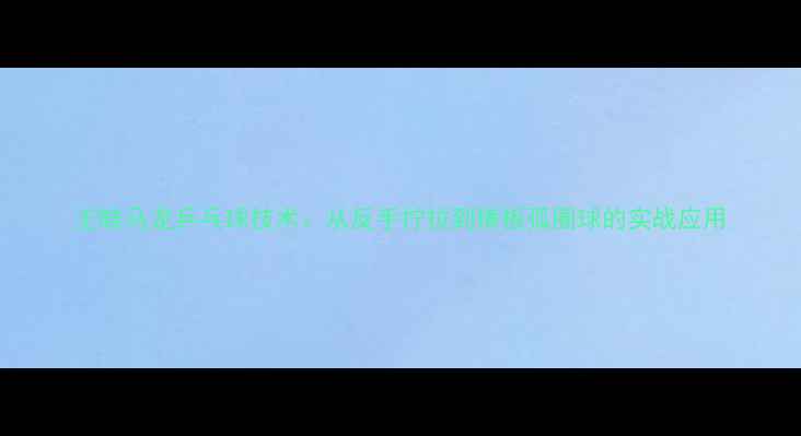 图片 王皓马龙乒乓球技术：从反手拧拉到横板弧圈球的实战应用