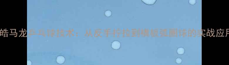 图片 王皓马龙乒乓球技术：从反手拧拉到横板弧圈球的实战应用1