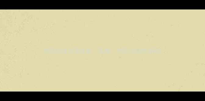 图片 球员版球衣英文全：品牌、材质与选购指南2