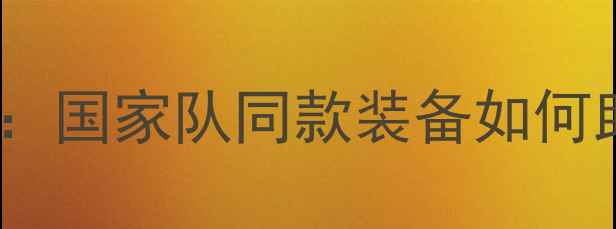 图片 瑞典乒乓球服品牌技术：国家队同款装备如何助力运动员突破极限？1