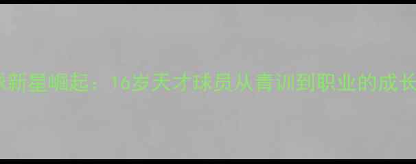 图片 瑞典足球新星崛起：16岁天才球员从青训到职业的成长启示录2