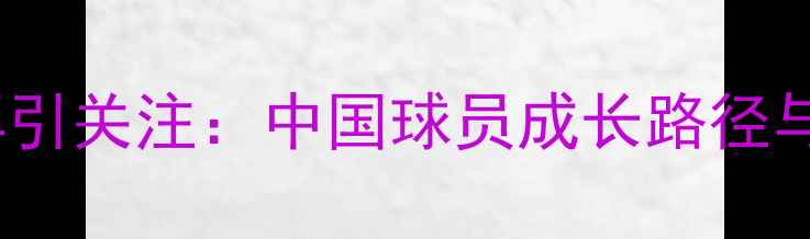 图片 皇马青训计划再引关注：中国球员成长路径与职业发展探析1