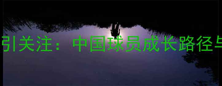 图片 皇马青训计划再引关注：中国球员成长路径与职业发展探析2