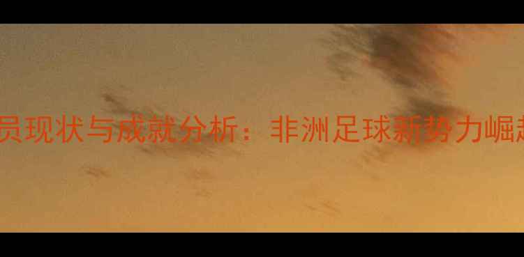 图片 突尼斯旅欧球员现状与成就分析：非洲足球新势力崛起的三大启示2