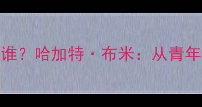图片 突尼斯足球最佳球员是谁？哈加特·布米：从青年队到国家队的三次逆袭