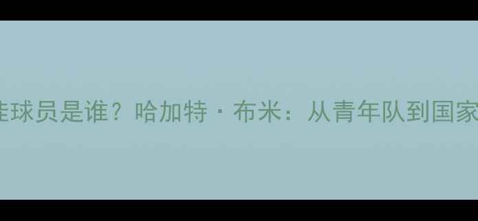 图片 突尼斯足球最佳球员是谁？哈加特·布米：从青年队到国家队的三次逆袭2