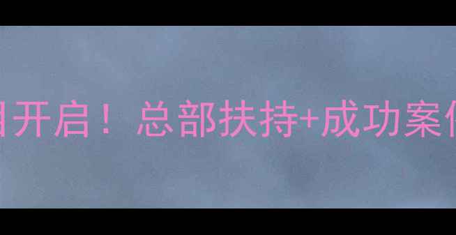 图片 维克多羽毛球全国加盟项目开启！总部扶持+成功案例+加盟流程全（附政策）1