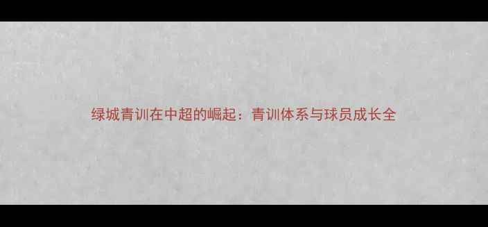 图片 绿城青训在中超的崛起：青训体系与球员成长全