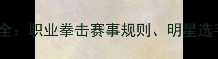 图片 美国拳击联赛全：职业拳击赛事规则、明星选手及最新动态1