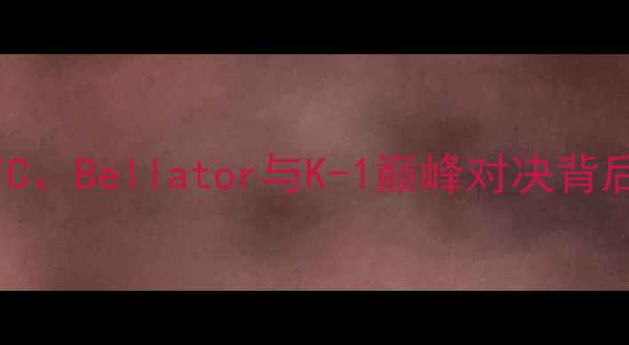 图片 美国格斗赛事全：UFC、Bellator与K-1巅峰对决背后的商业与竞技密码2