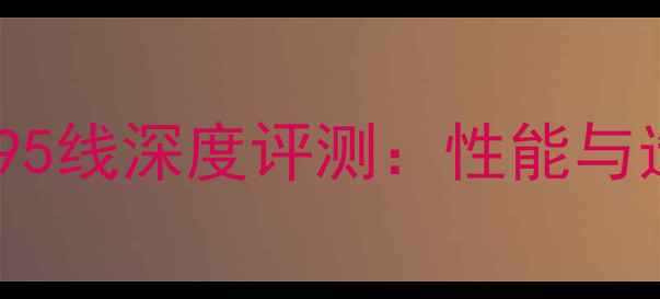 图片 羽毛球YY95线深度评测：性能与选购指南1