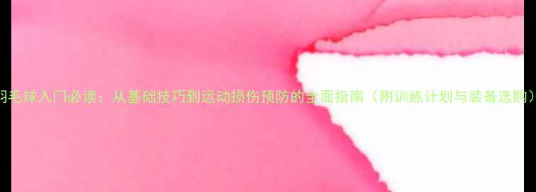 图片 羽毛球入门必读：从基础技巧到运动损伤预防的全面指南（附训练计划与装备选购）