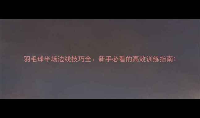 图片 羽毛球半场边线技巧全：新手必看的高效训练指南1