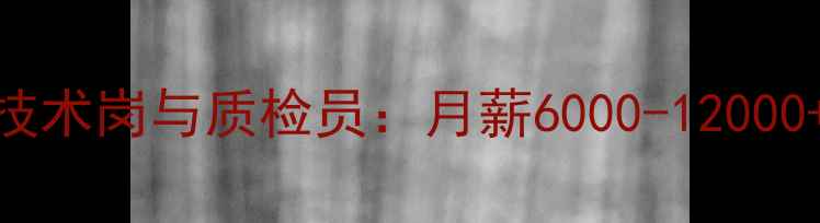 图片 羽毛球厂家高薪聘请技术岗与质检员：月薪6000-12000+五险一金+带薪培训1