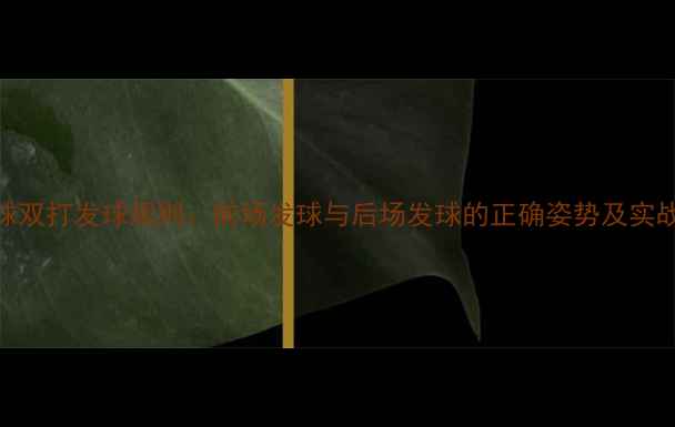 图片 羽毛球双打发球规则：前场发球与后场发球的正确姿势及实战技巧