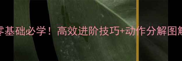 图片 羽毛球反手推球零基础必学！高效进阶技巧+动作分解图解（附训练计划）