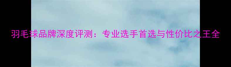 图片 羽毛球品牌深度评测：专业选手首选与性价比之王全