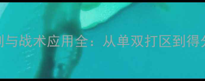 图片 羽毛球场地线规则与战术应用全：从单双打区到得分判定的实战指南