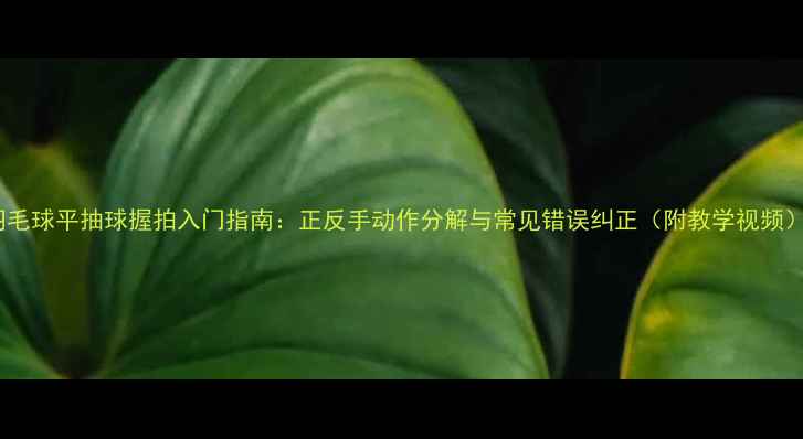 图片 羽毛球平抽球握拍入门指南：正反手动作分解与常见错误纠正（附教学视频）1