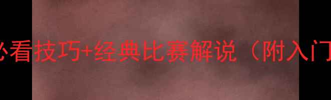 图片 羽毛球必看技巧+经典比赛解说（附入门指南）2