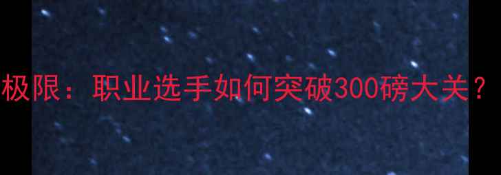 图片 羽毛球拉线磅数极限：职业选手如何突破300磅大关？附科学训练指南