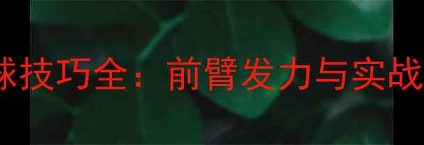 图片 羽毛球搓球技巧全：前臂发力与实战应用指南1