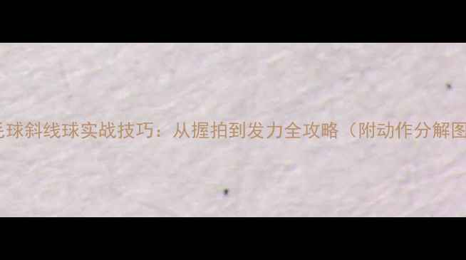 图片 羽毛球斜线球实战技巧：从握拍到发力全攻略（附动作分解图）1