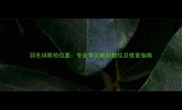 图片 羽毛球断拍位置：专业常见断裂部位及修复指南