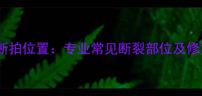 图片 羽毛球断拍位置：专业常见断裂部位及修复指南1