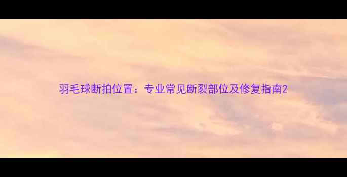 图片 羽毛球断拍位置：专业常见断裂部位及修复指南2