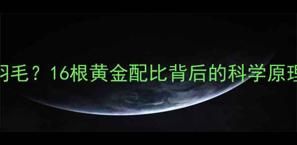 图片 羽毛球有几个羽毛？16根黄金配比背后的科学原理与行业标准全