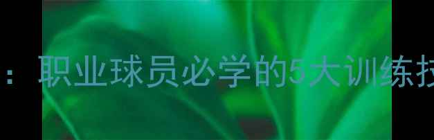 图片 羽毛球杂志总编权威：职业球员必学的5大训练技巧与职业发展路径2