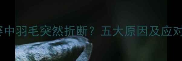 图片 羽毛球比赛中羽毛突然折断？五大原因及应对策略深度2