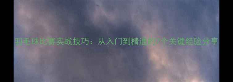 图片 羽毛球比赛实战技巧：从入门到精通的7个关键经验分享