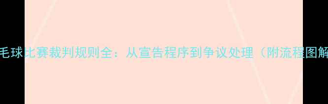 图片 羽毛球比赛裁判规则全：从宣告程序到争议处理（附流程图解）