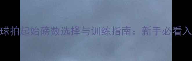 图片 羽毛球球拍起始磅数选择与训练指南：新手必看入门知识