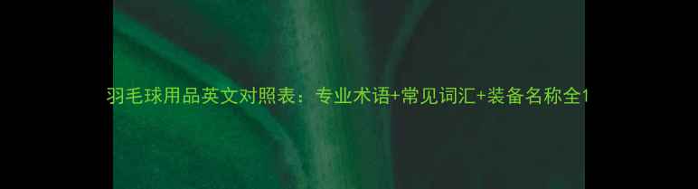 图片 羽毛球用品英文对照表：专业术语+常见词汇+装备名称全1