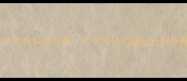 图片 羽毛球经典外号背后的故事：从李宗伟的超级丹到林丹的超级鸡1